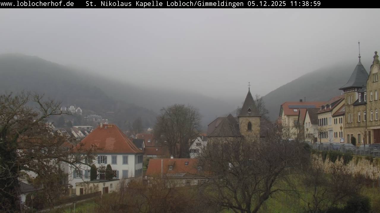 Neustadt an der Weinstraße Webcam Aktuell Live 2 Webcam